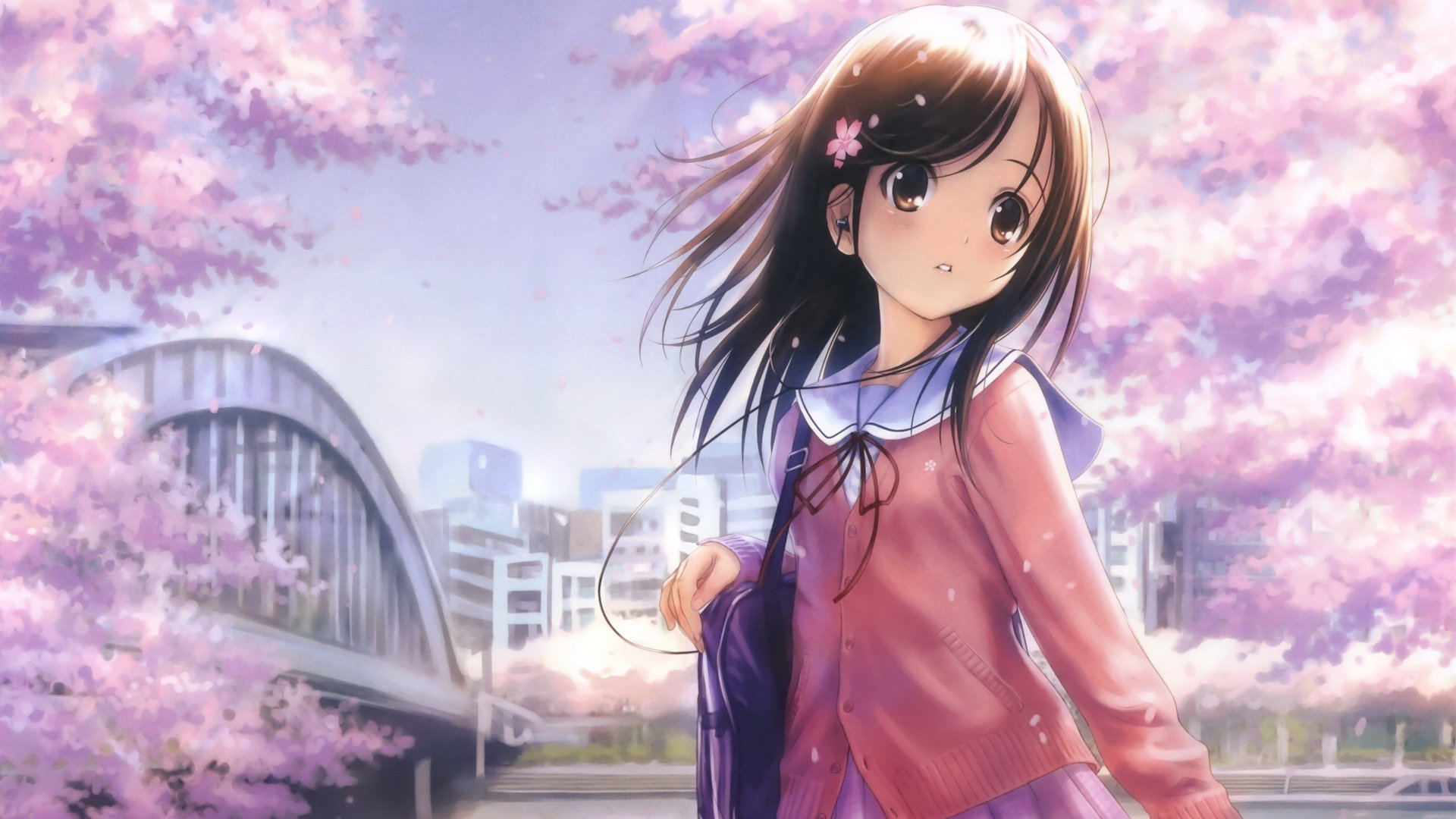 热播